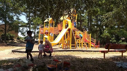 Soccer Field image 1