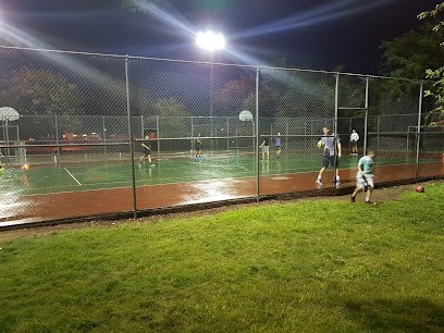 Soccer Field image 1