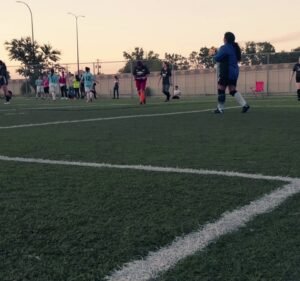 Soccer Field image 4