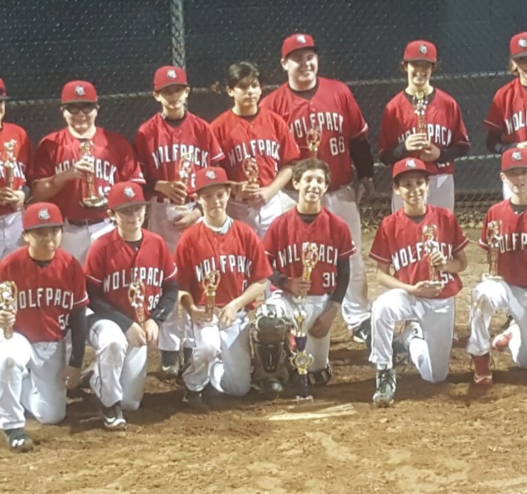 Soccer Field image 3