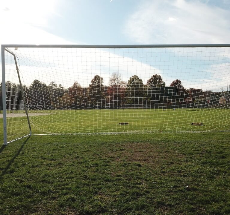 Soccer Field image 3