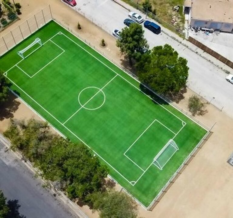 Soccer Field image 2
