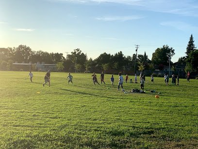 Soccer Field image 1