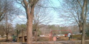Soccer Field image 1