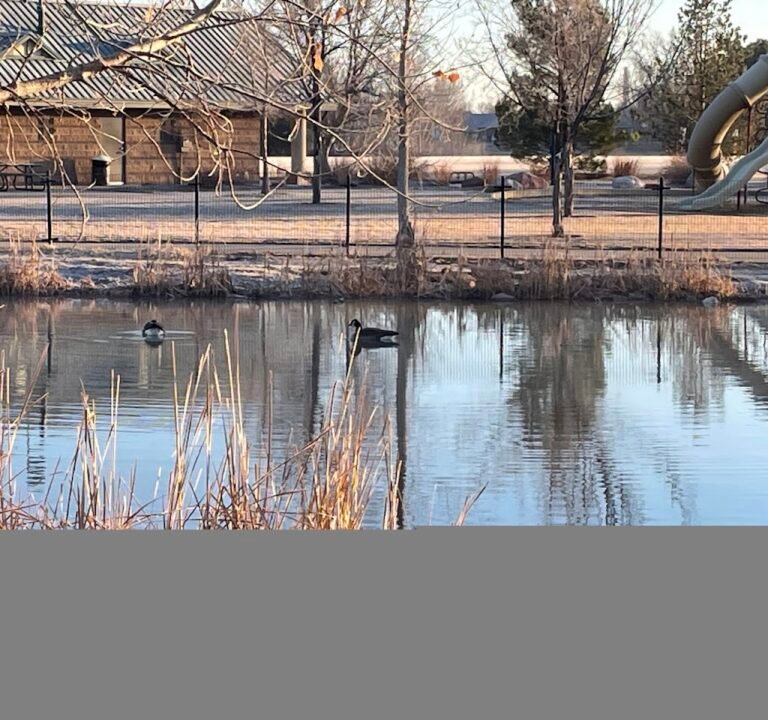 Soccer Field image 3