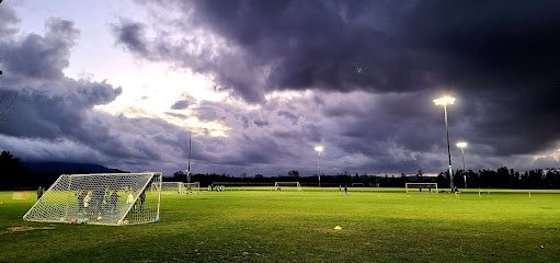 Soccer Field image 1