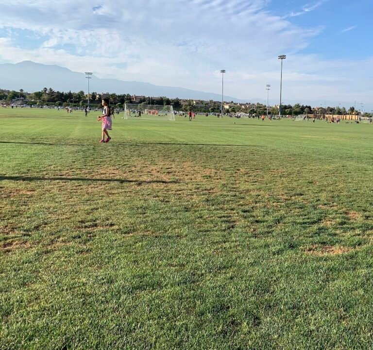 Soccer Field image 2