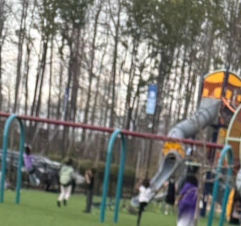 Soccer Field image 3