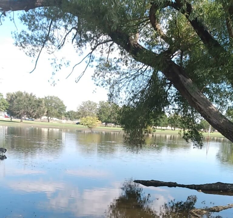 Soccer Field image 4