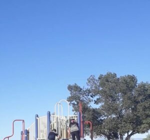 Soccer Field image 4