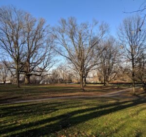 Soccer Field image 2