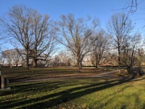 Soccer Field image 1