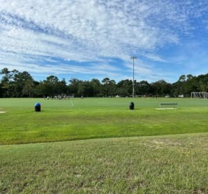 Soccer Field image 2