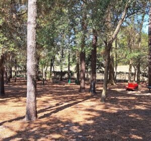 Soccer Field image 2