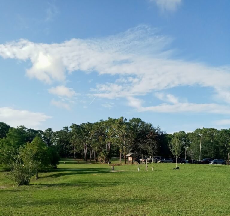 Soccer Field image 2