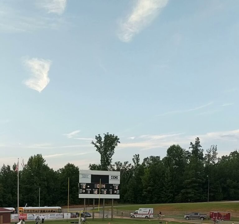 Soccer Field image 4