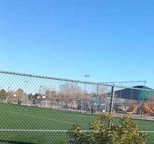Soccer Field image 4