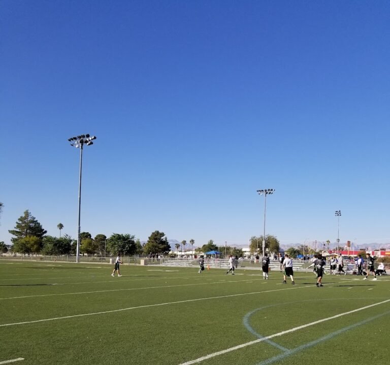 Soccer Field image 2