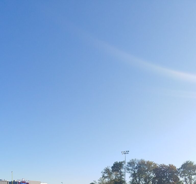 Soccer Field image 2