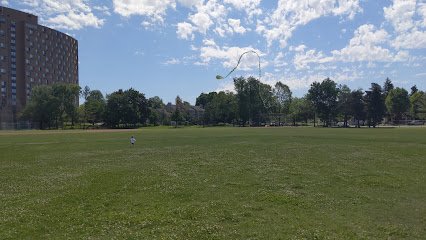 Soccer Field image 1