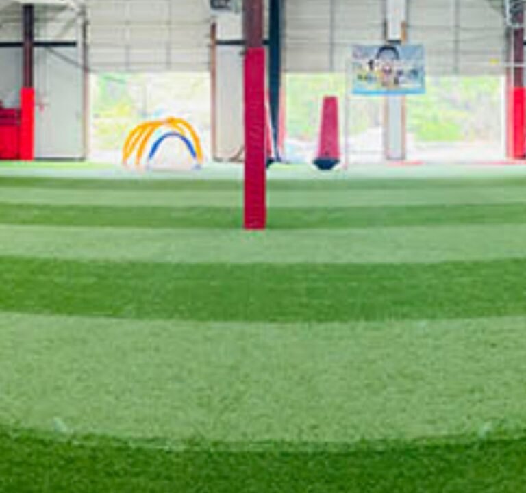 Soccer Field image 3