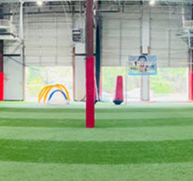 Soccer Field image 2