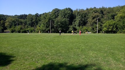 Soccer Field image 1