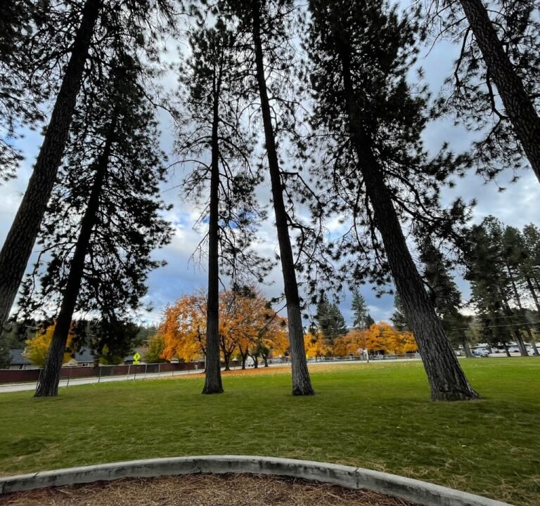 Soccer Field image 2