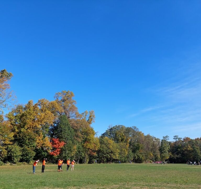 Soccer Field image 2
