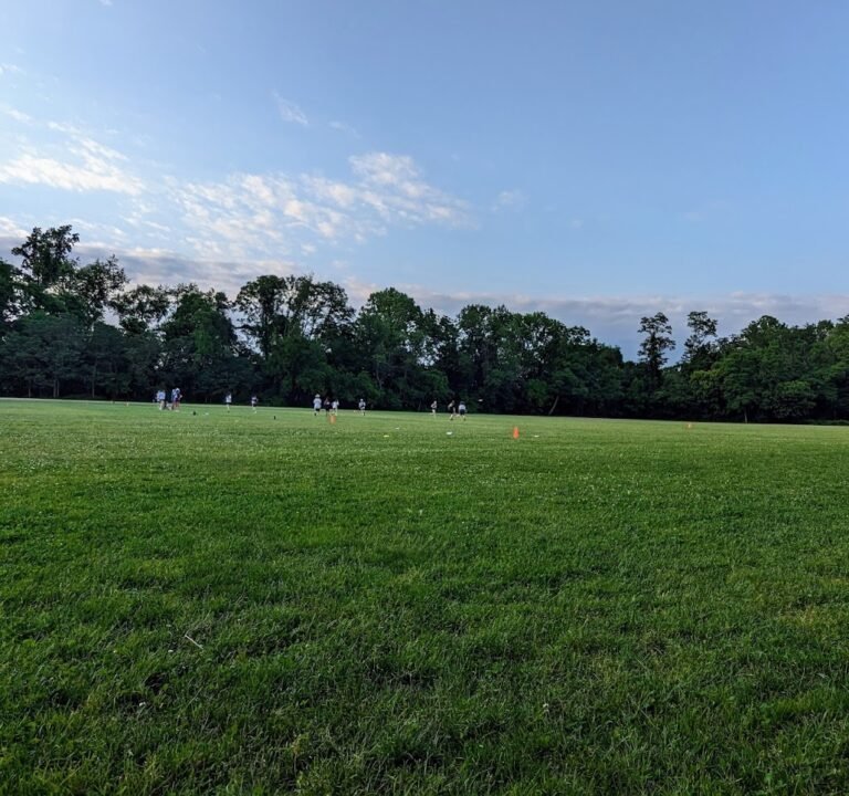 Soccer Field image 3