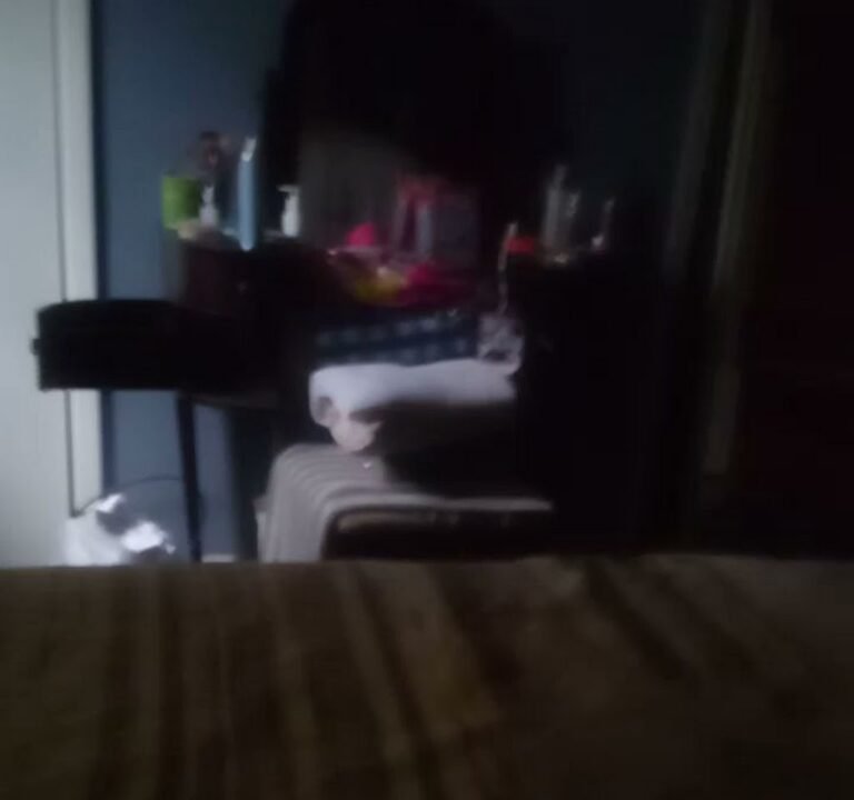 Soccer Field image 3