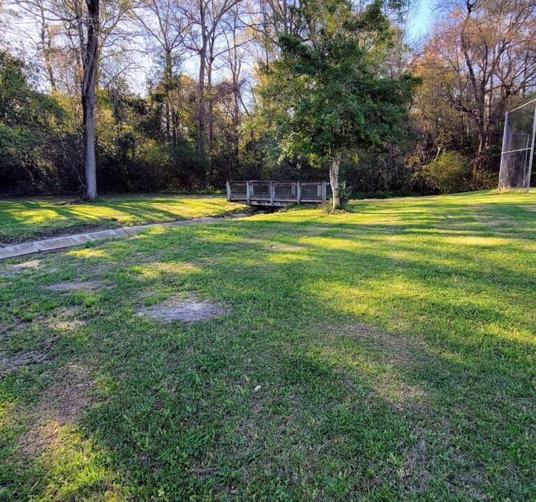 Soccer Field image 2