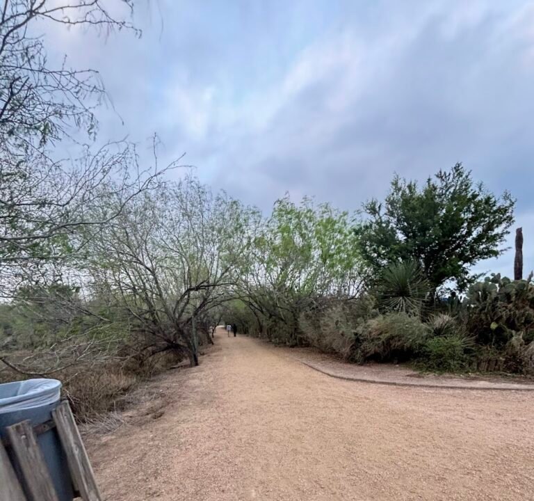 Soccer Field image 3