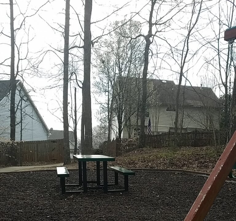 Soccer Field image 2