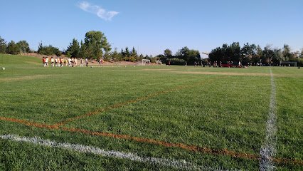 Soccer Field image 1