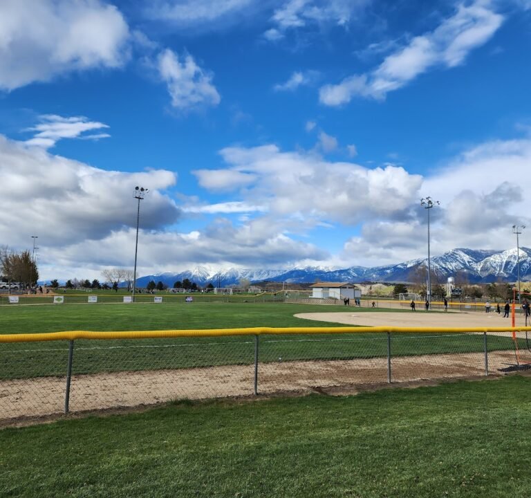 Soccer Field image 2