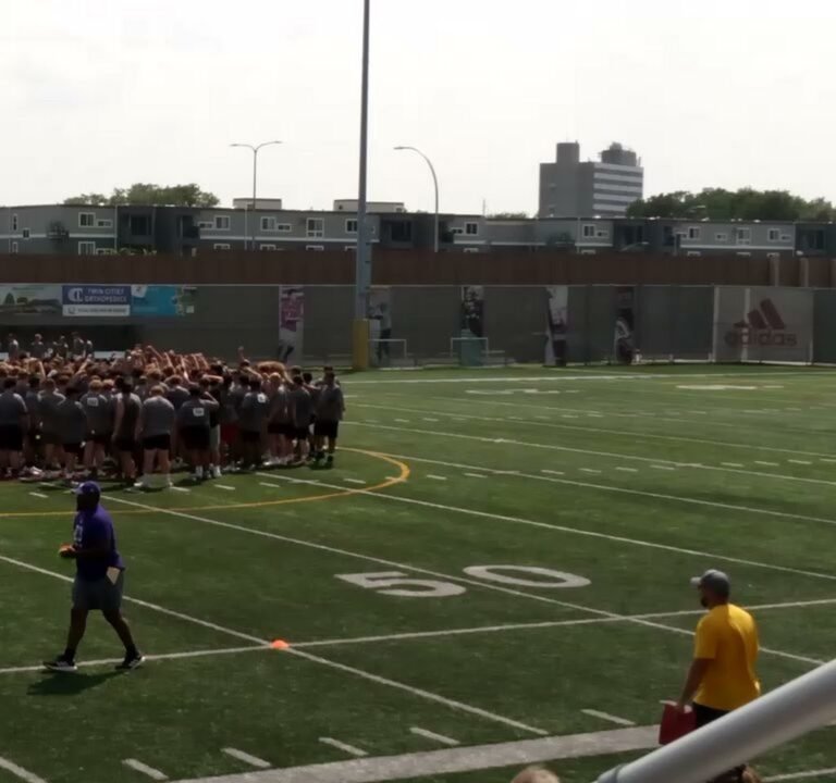 Soccer Field image 4