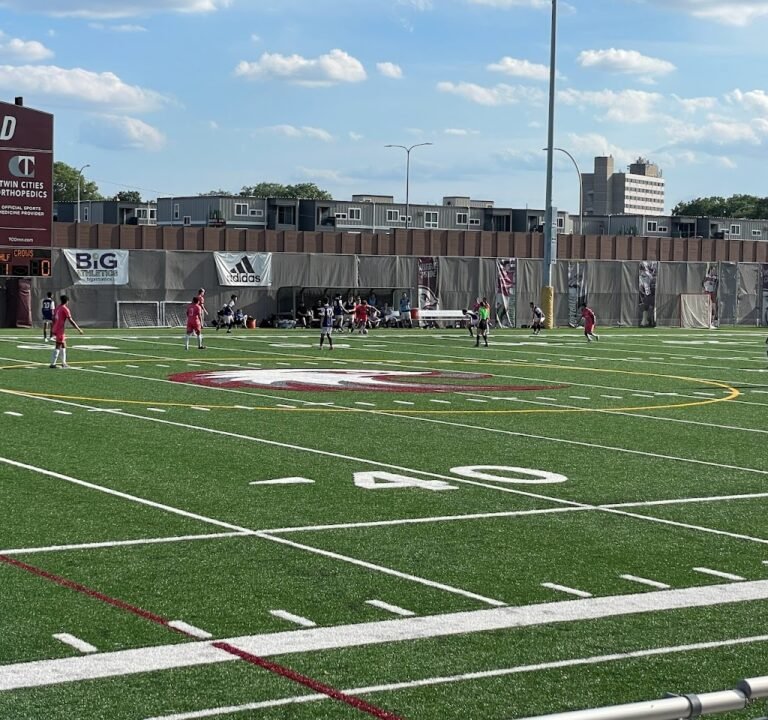 Soccer Field image 2