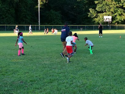 Soccer Field image 1