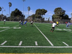 Soccer Field image 1