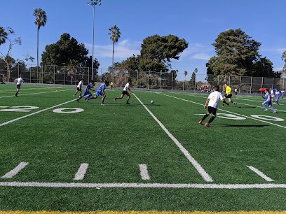 Soccer Field image 1