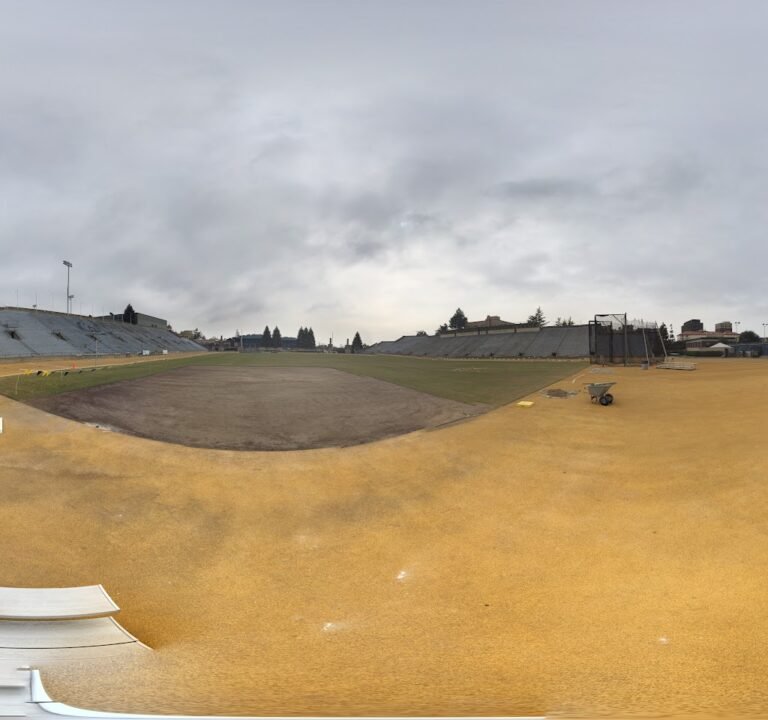 Soccer Field image 3