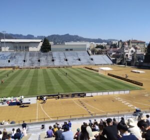 Soccer Field image 2