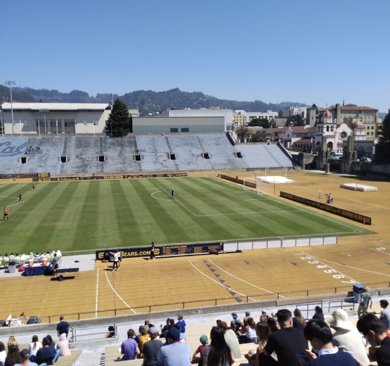 Soccer Field image 2