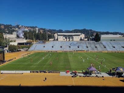 Soccer Field image 1