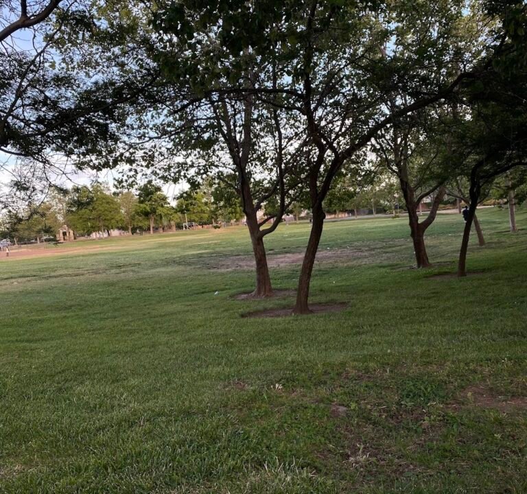 Soccer Field image 2