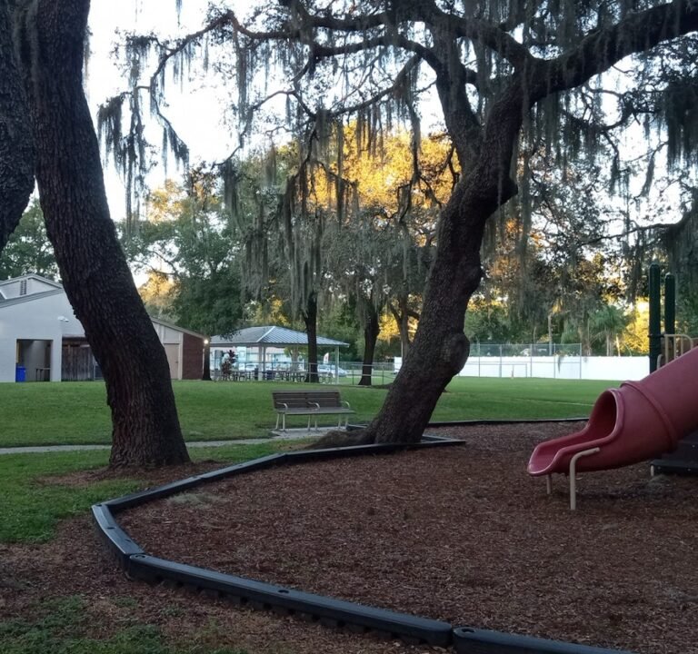 Soccer Field image 2