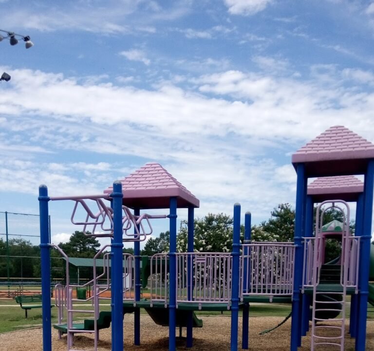 Soccer Field image 2