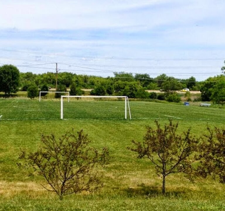 Soccer Field image 2