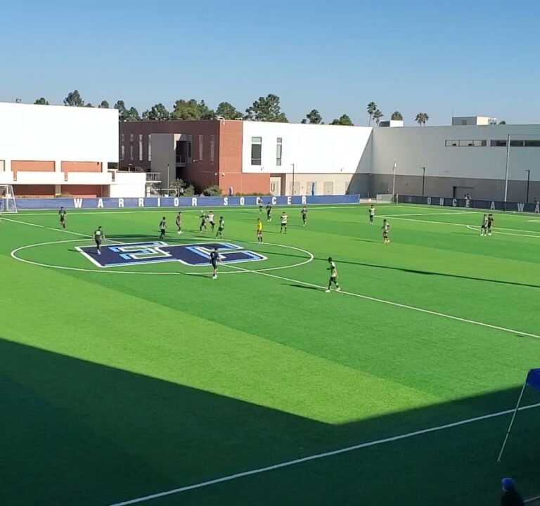 Soccer Field image 3